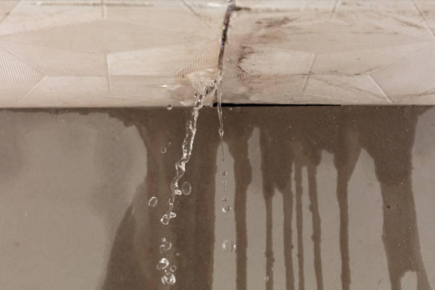 Professional Water Extraction technician working in Arthur, ND